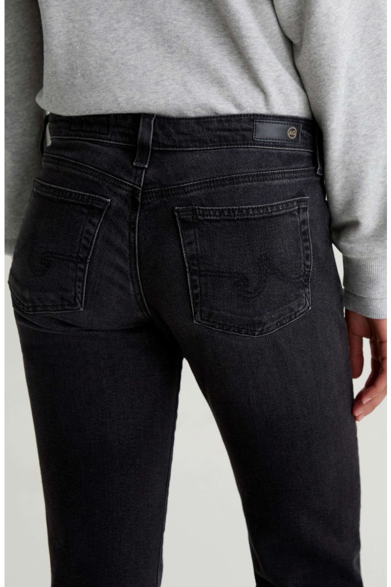 Sandra Slim Straight Leg Jeans, Alternate, color, NEBULA