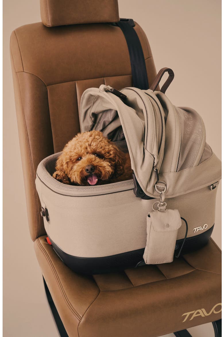 Maeve™ iso5X Wind Pet Car Seat, Alternate, color, MERLE