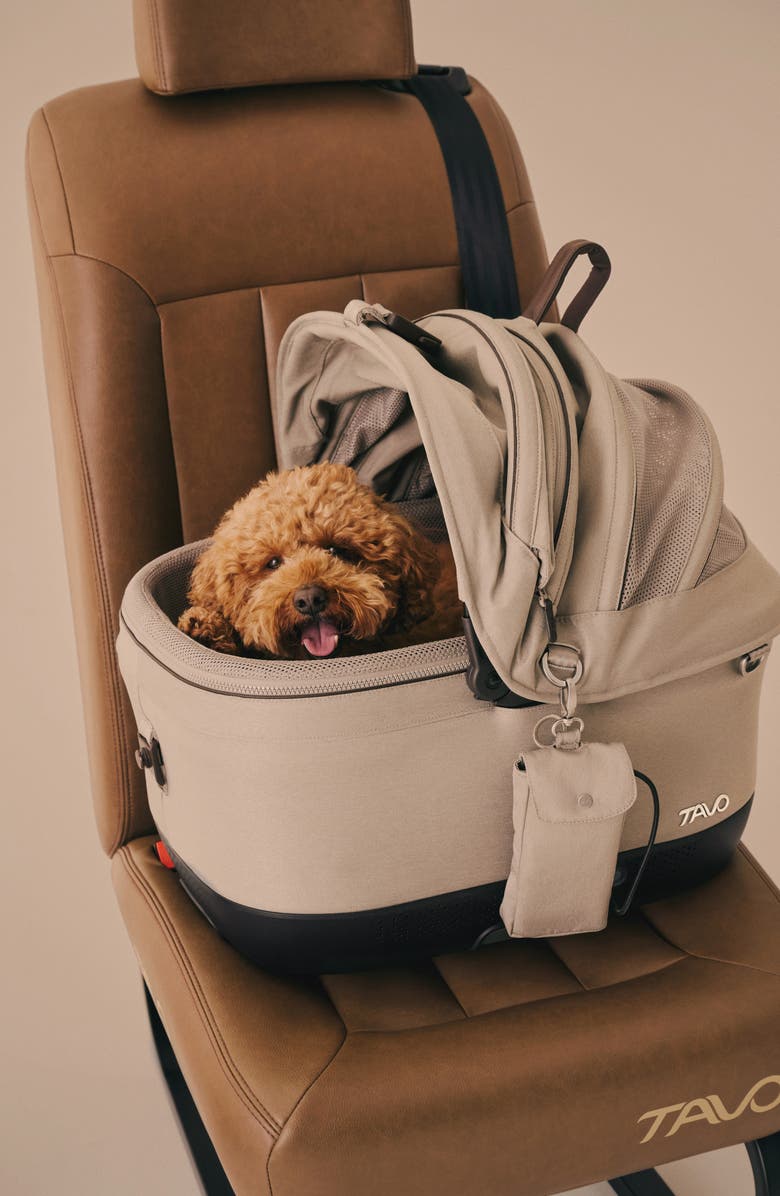TAVO PETS Maeve<sup>™</sup> iso5X Wind Pet Car Seat, Alternate, color, Merle