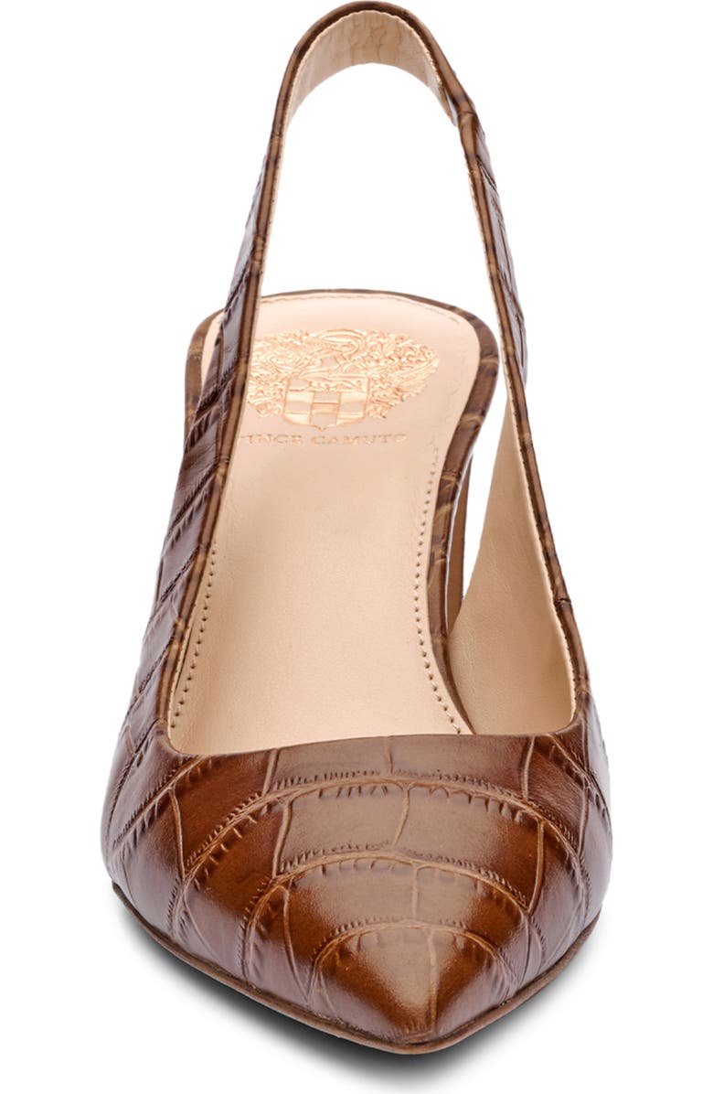 Vince Camuto Hamden Pointed Toe Slingback Pump, Alternate, color, Barn Brown