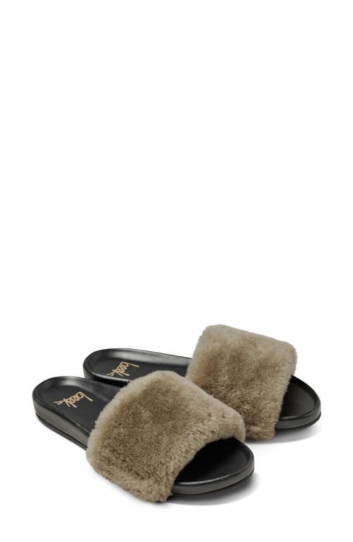 Beek Gallito Más Genuine Shearling Slide Sandal in Bronze /Black 