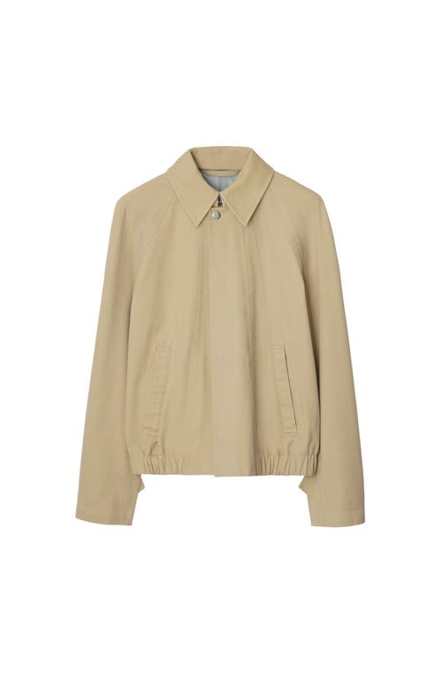 Burberry Paneled Cotton-canvas Jacket In Beige