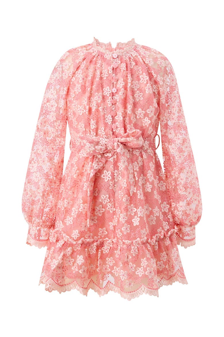 Julia Embroidered Mini Dress, Main, color, Peach