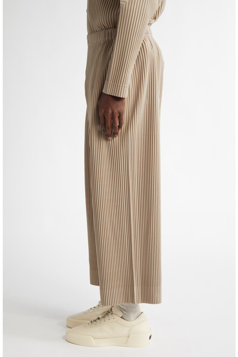 Monthly Colors September Pleated Crop Wide Leg Pants, Alternate, color, GRAIN BEIGE