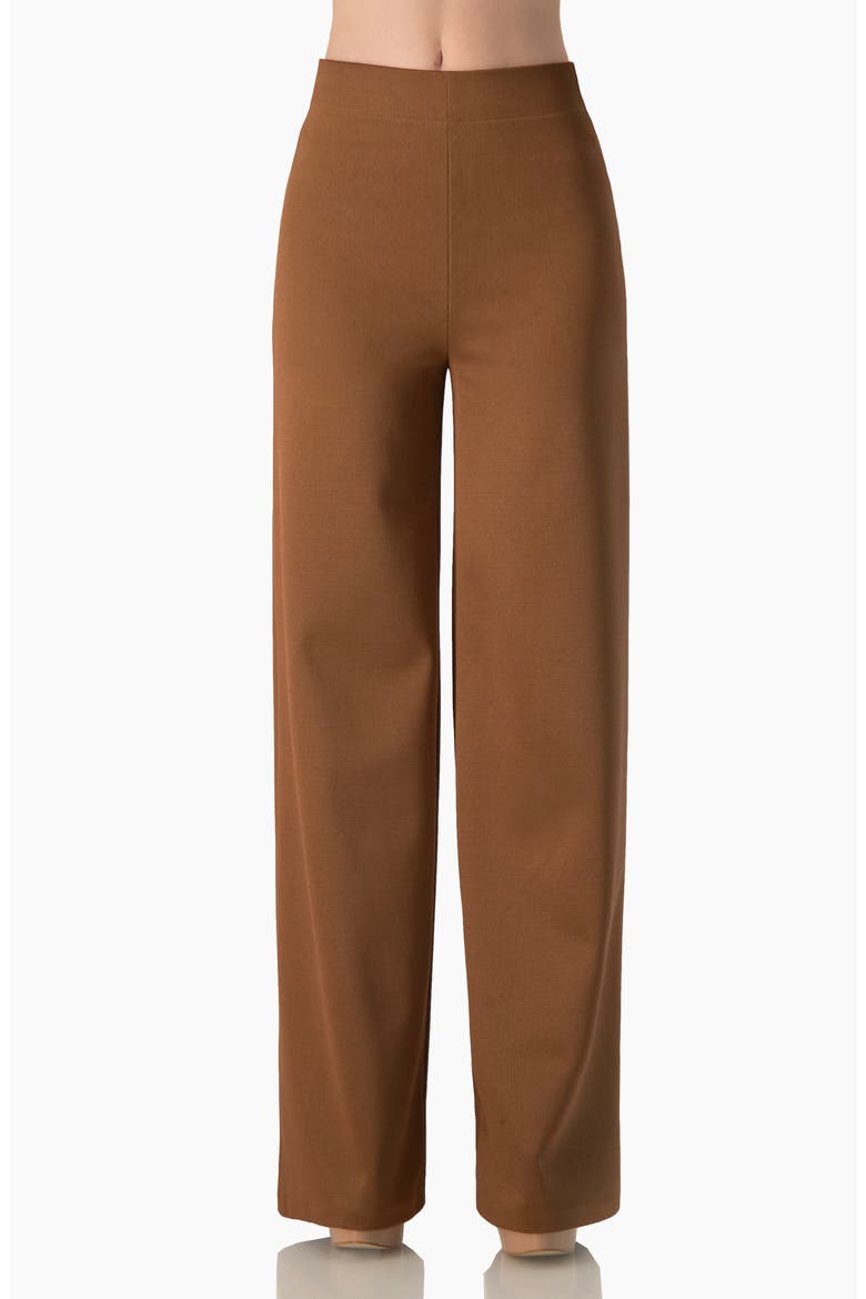 High-Rise Wide-Leg Pants with Back Darts, Main, color, Camel
