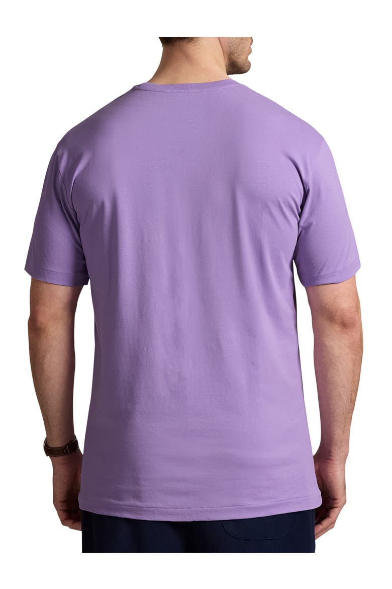 Big & Tall Logo Jersey T-Shirt, Alternate, color, LIGHT LILAC