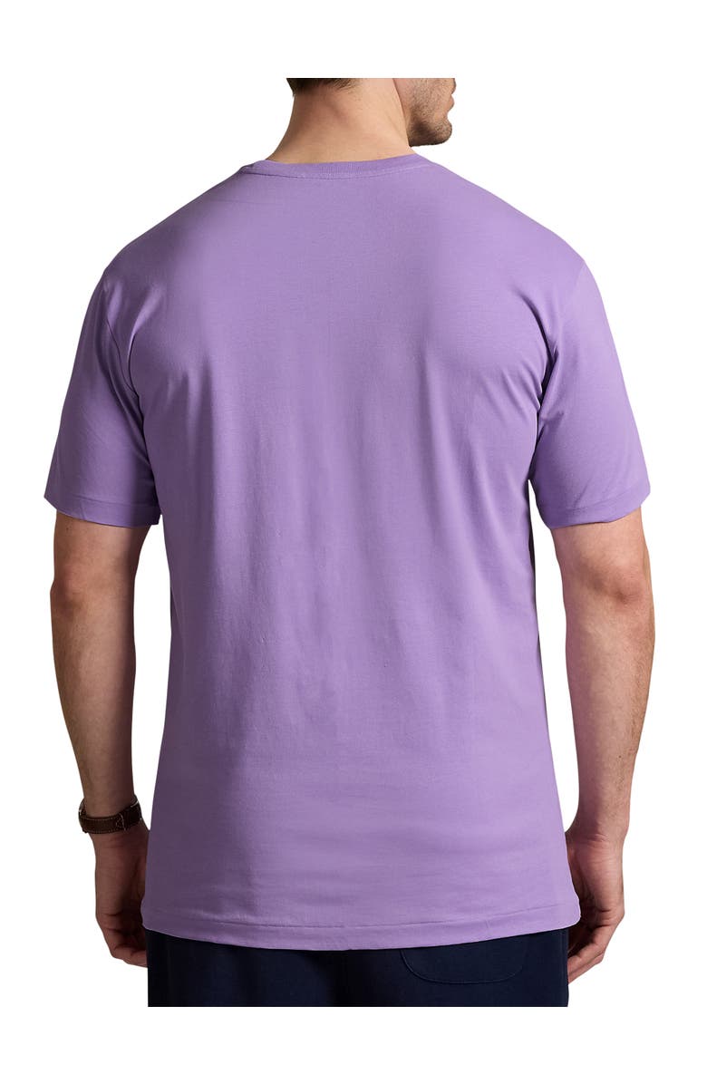 Polo Ralph Lauren Big & Tall Logo Jersey T-Shirt, Alternate, color, Light Lilac