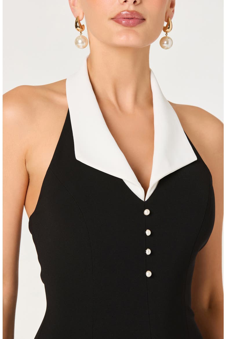 Casandra Halter Neck Minidress, Alternate, color, BLACK WHITE