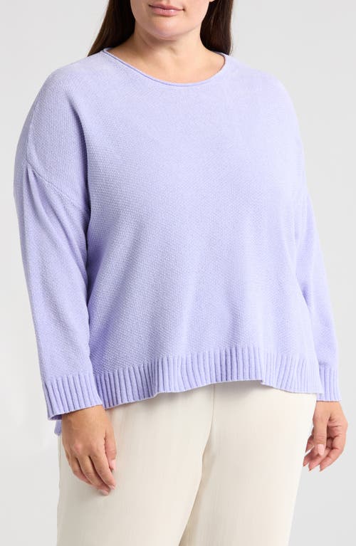 Eileen Fisher Raglan Sleeve Crewneck Pullover In Petal