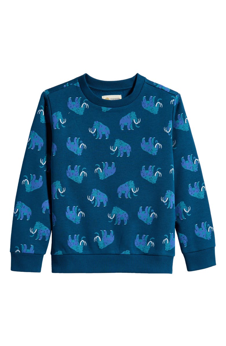 Tucker + Tate Kids' Print Crewneck Sweatshirt, Main, color, Blue Sailor Woolly Mammoth