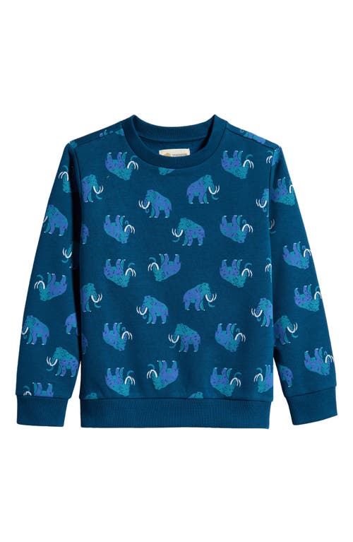 Tucker + Tate Kids' Print Crewneck Sweatshirt in Blue Sailor Woolly Mammoth 