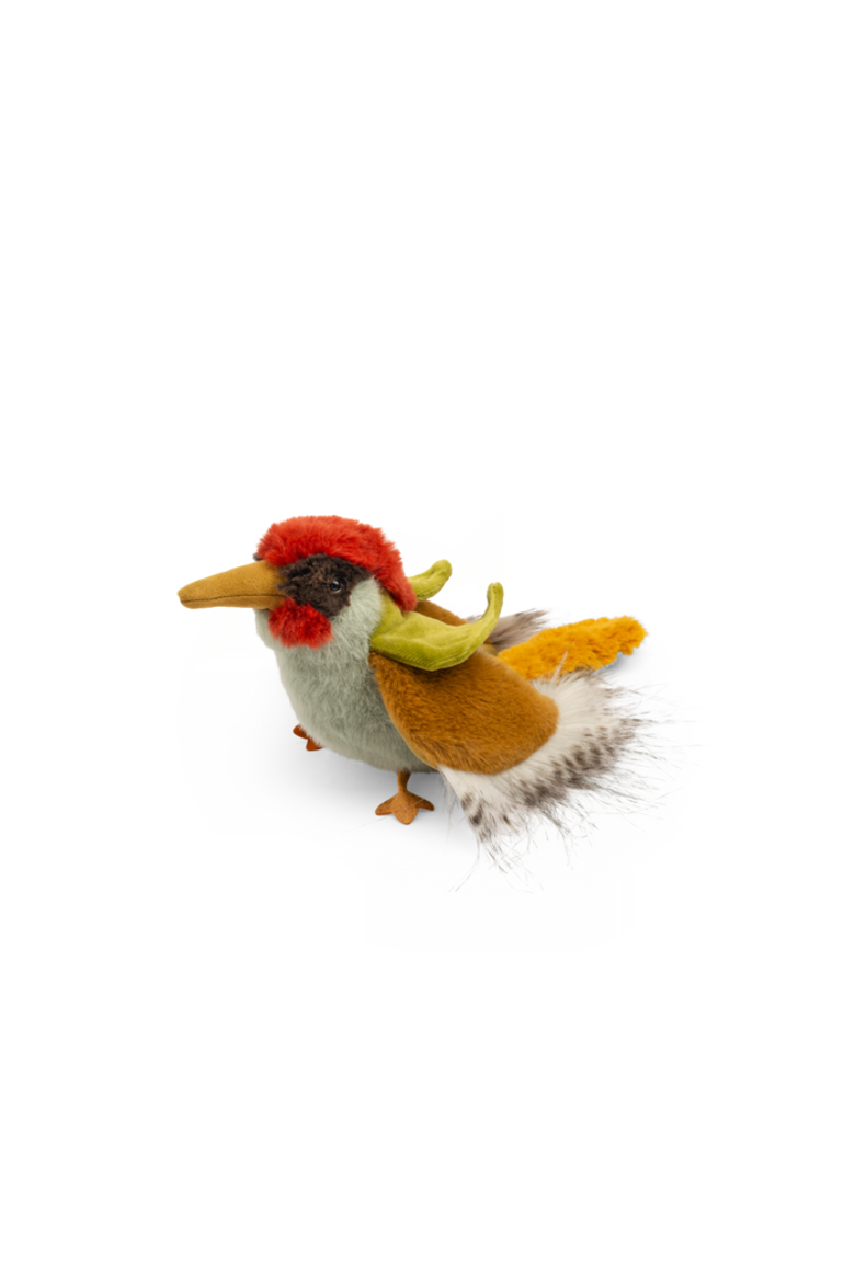 Green woodpecker - All Around the World, Main, color, Green