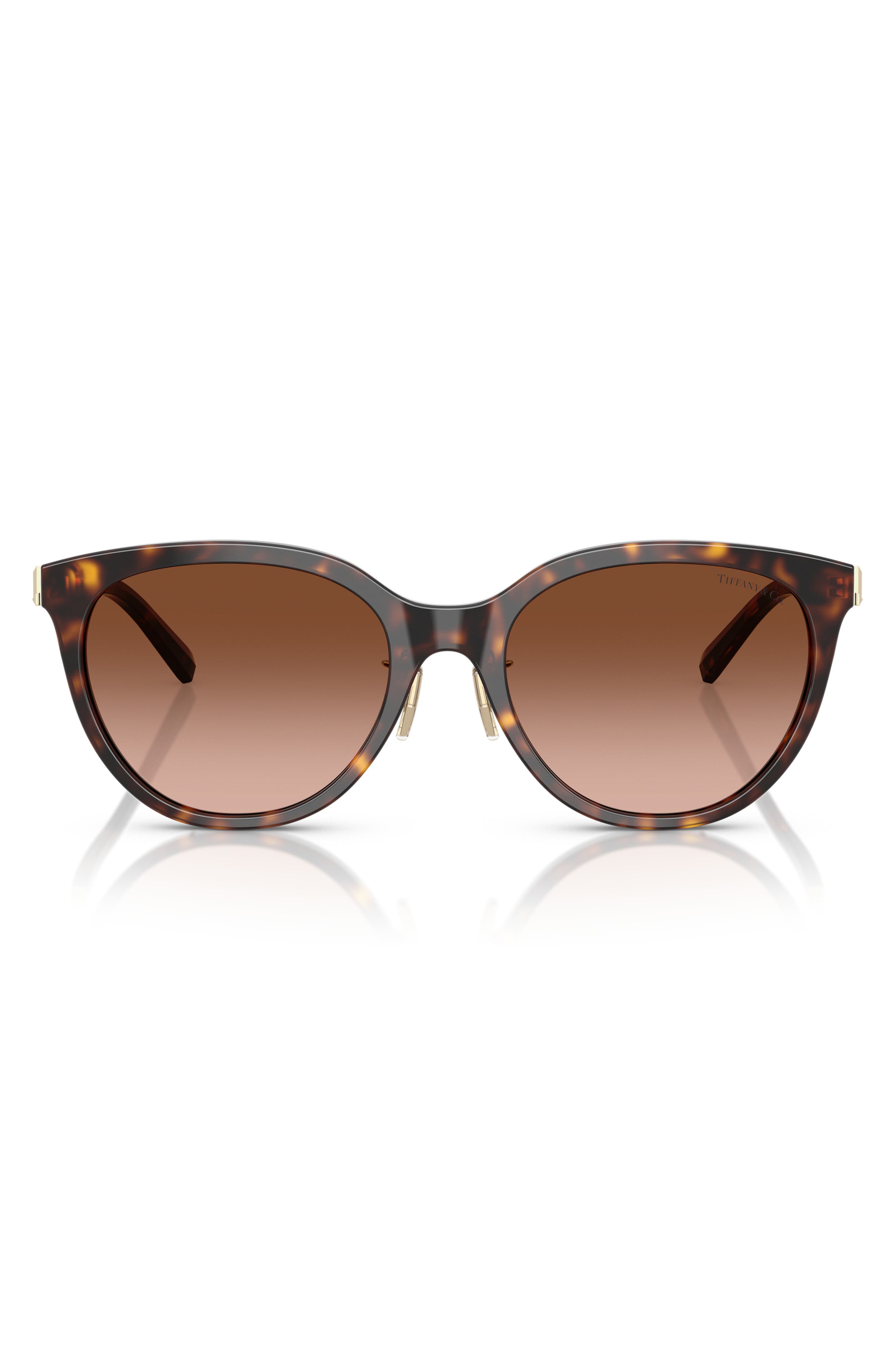 HAVANA / BROWN GRADIENT
