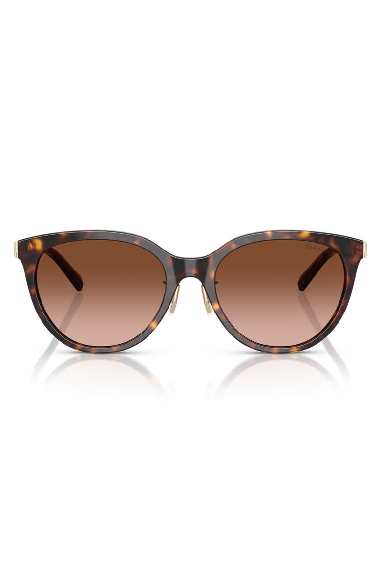 Tiffany & Co. 55mm Round Sunglasses, Main, color, Havana / Brown Gradient