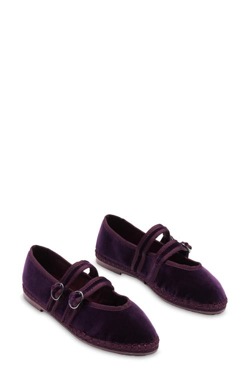Flabelus Claire Mary Jane Flat In Purple