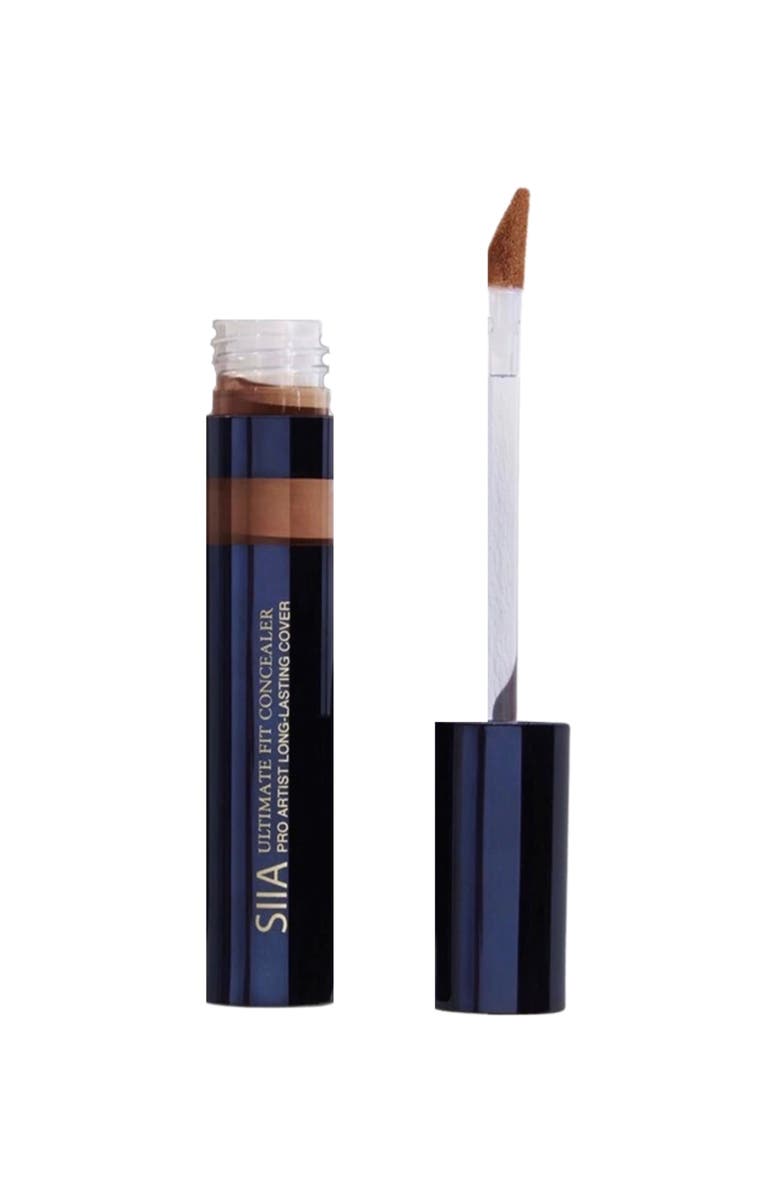 Siia Cosmetics Ultimate Fit Concealer, Main, color, Pecan