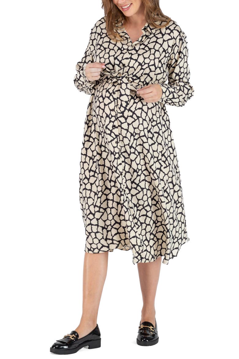 Lina Long Sleeve Maternity/Nursing Shirtdress video