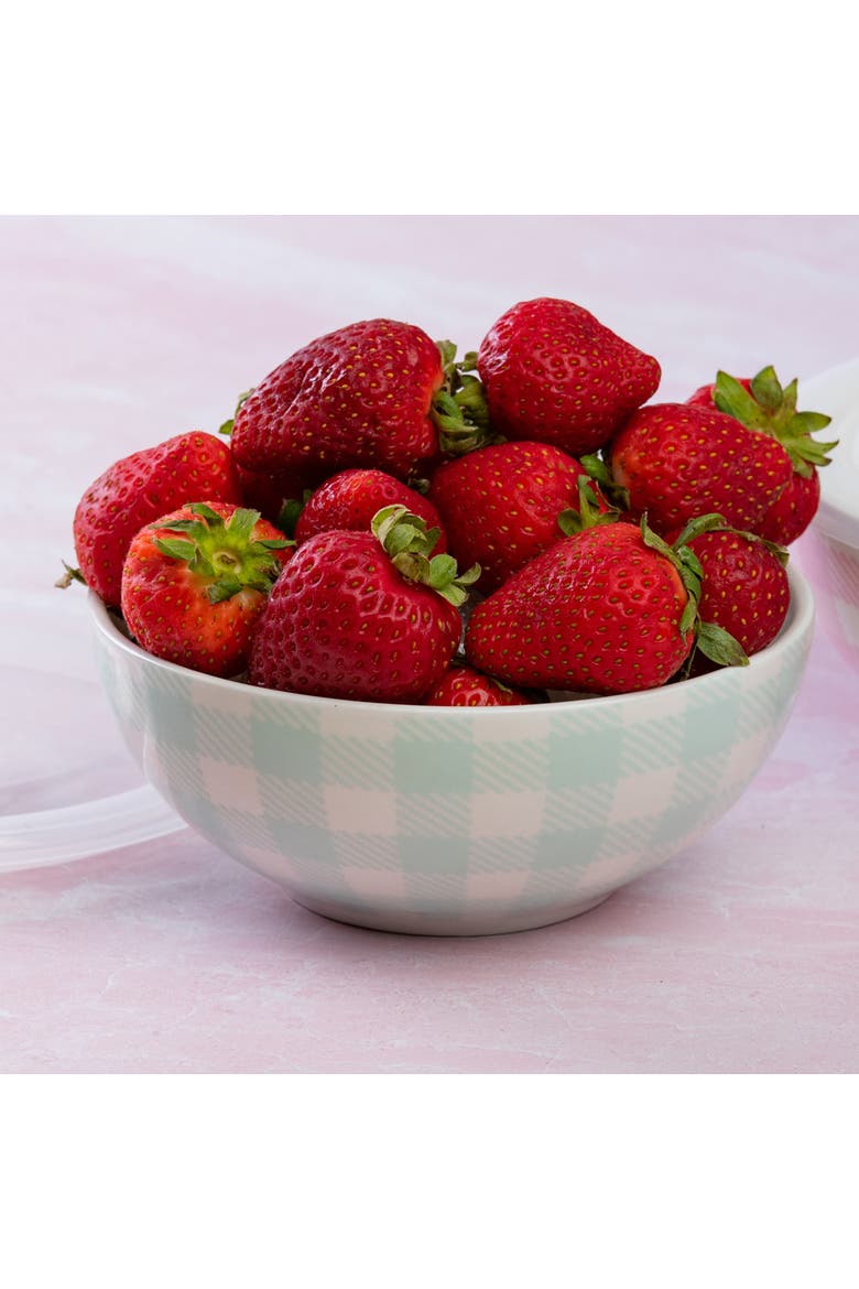 Gingham Pattern Bowls w/ Plastic Lid Set of 2 Ceramic White 25.7 oz, Alternate, color, White