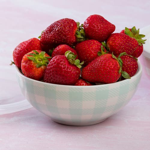 Totalee Gift Gingham Pattern Bowls W/ Plastic Lid Set Of 2 Ceramic White 25.7 oz In Multi