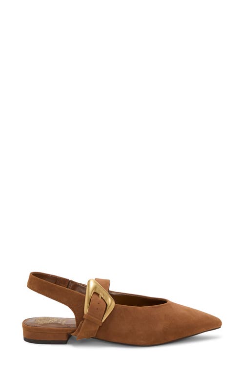 Vince Camuto Amoret Pointed Toe Slingback Flat In Brown