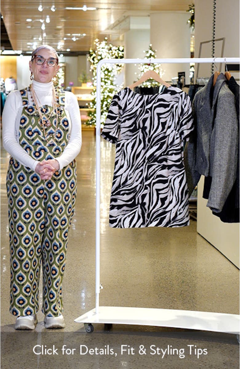 Ava Stripe Short Sleeve Minidress, sales video thumbnail