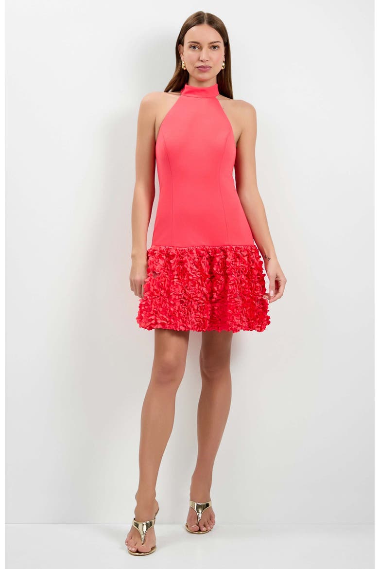 Tibaldi 3D Floral Mini Dress, Alternate, color, Corso Coral