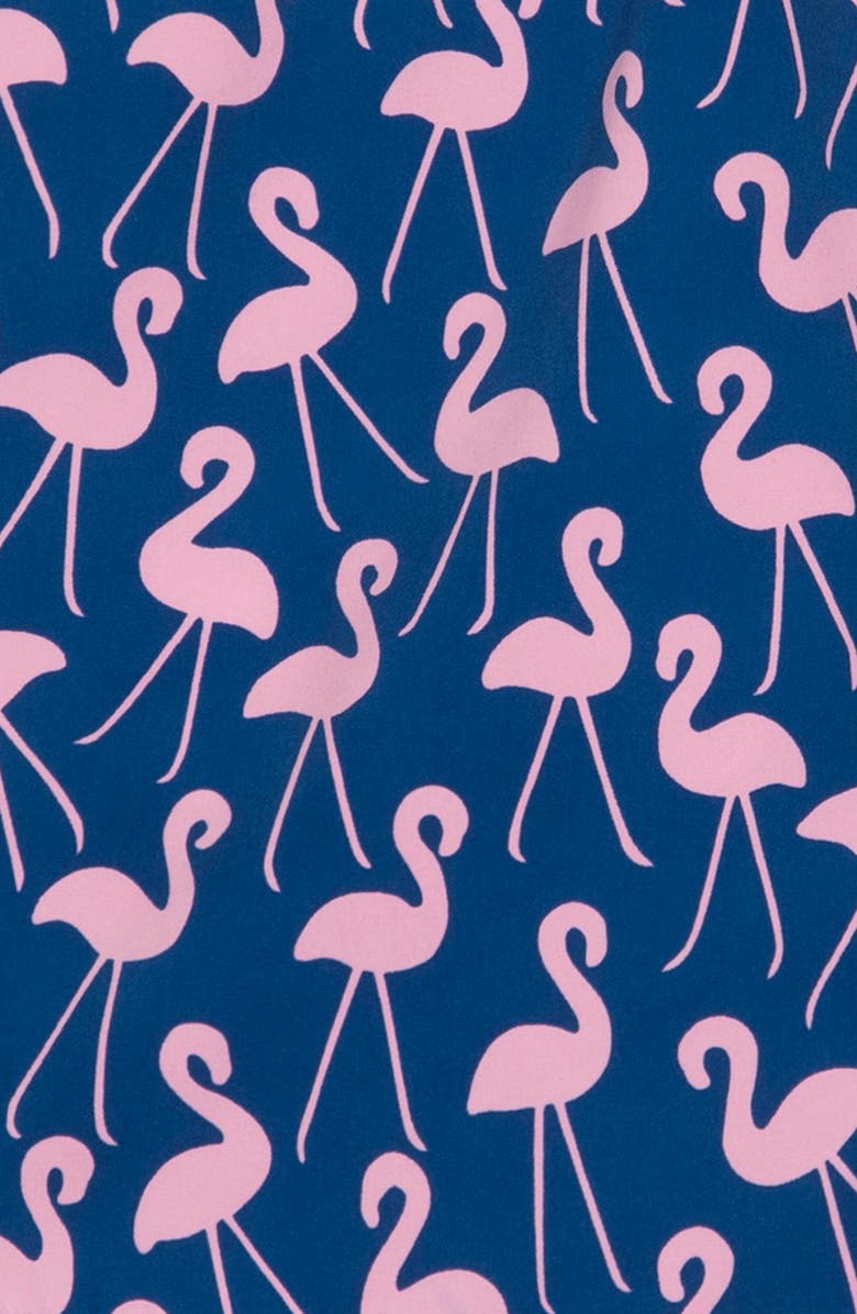 Tom & Teddy Flamingo Print Swim Trunks, Alternate, color,