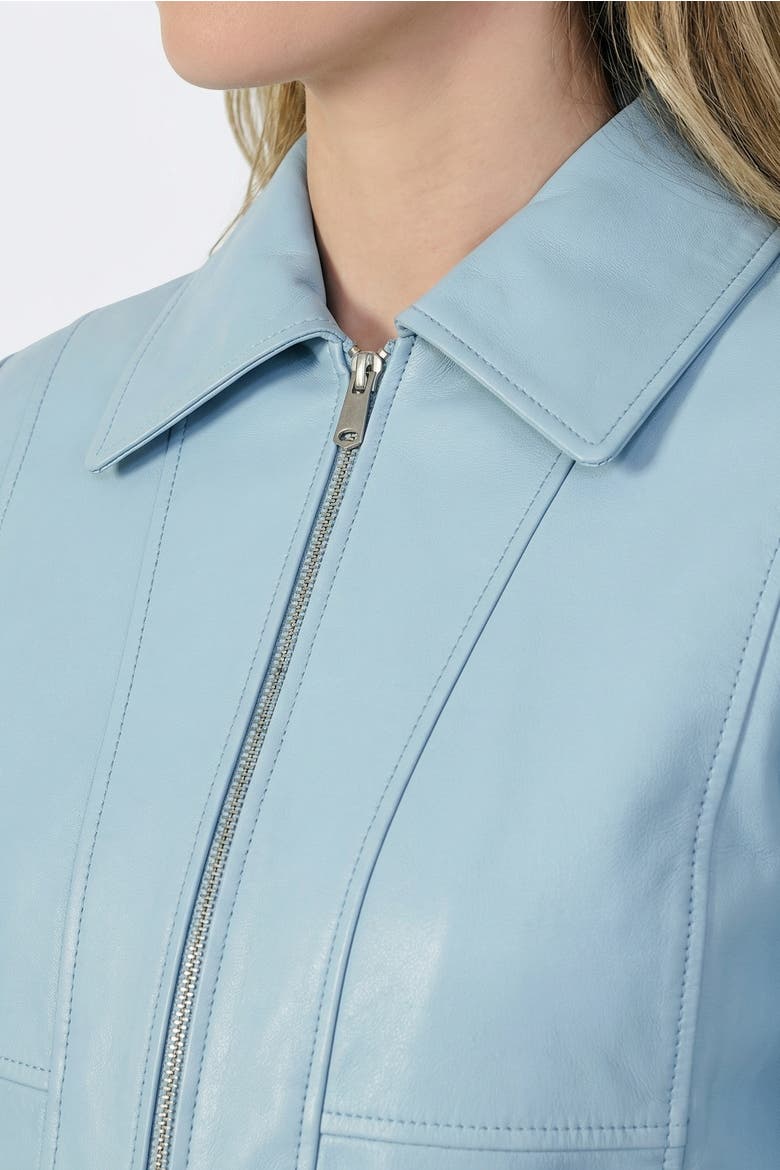 Daisy Leather Jacket, Alternate, color, Blue