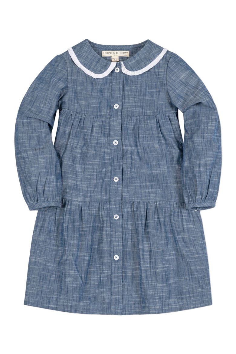 Girls' Organic Button Front Chambray Dress, Toddler, Alternate, color, Blue Chambray