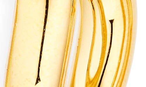 Lie Studio Lié Studio The Steffie Earrings In Gold