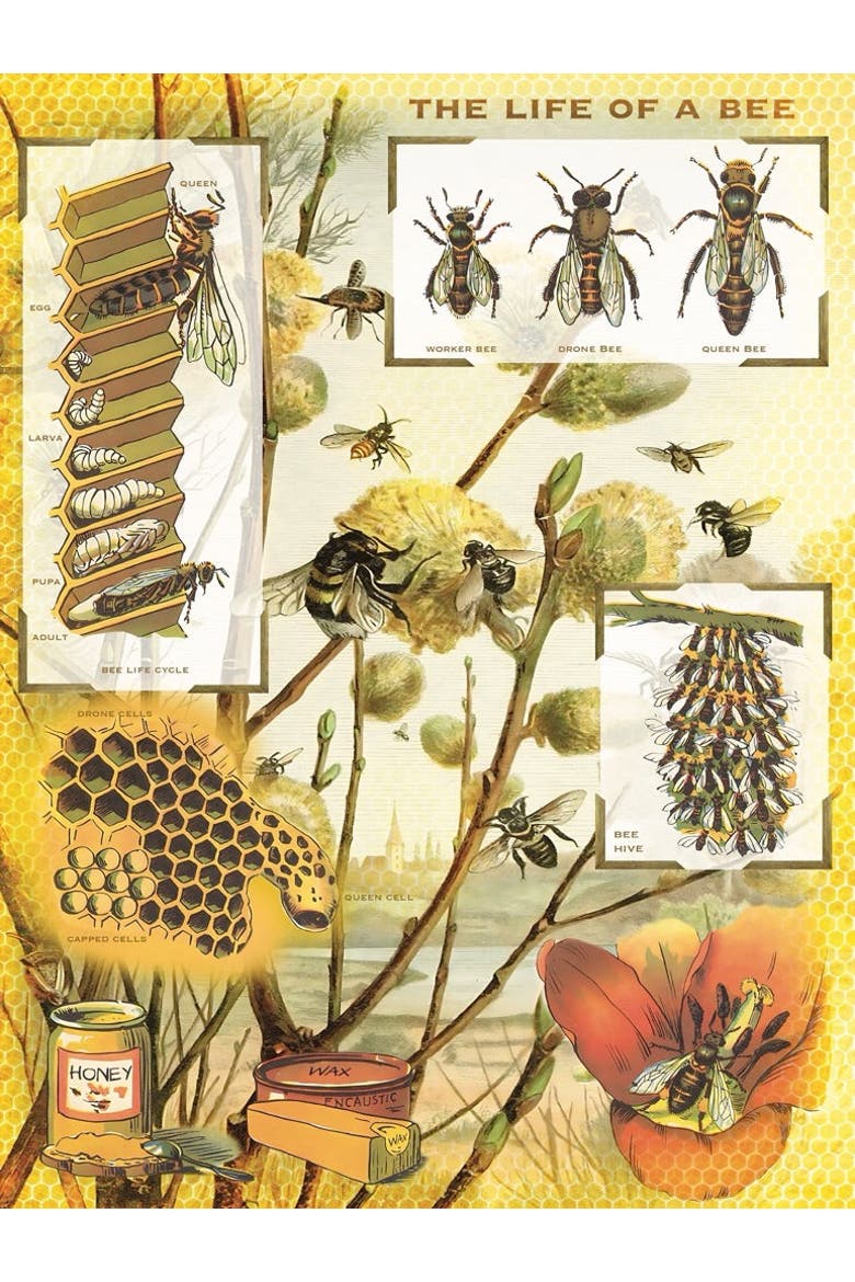 Bees & Honey 1000 Piece Puzzle, Alternate, color, No Color