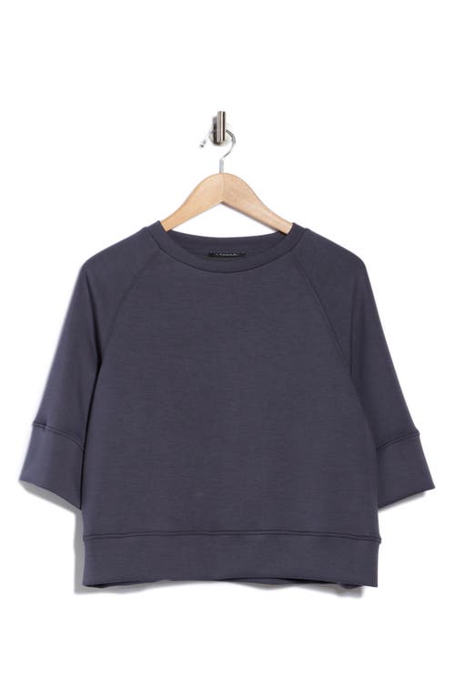T Tahari Scuba Knit Sweatshirt In Gray