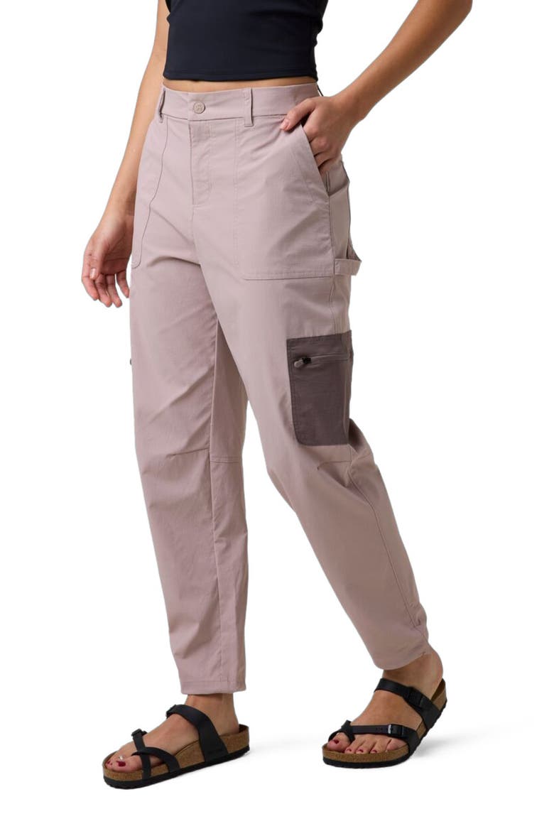 Wasatch Ripstop Cargo Pant - Women's, Alternate, color, Bark/Granite Plum
