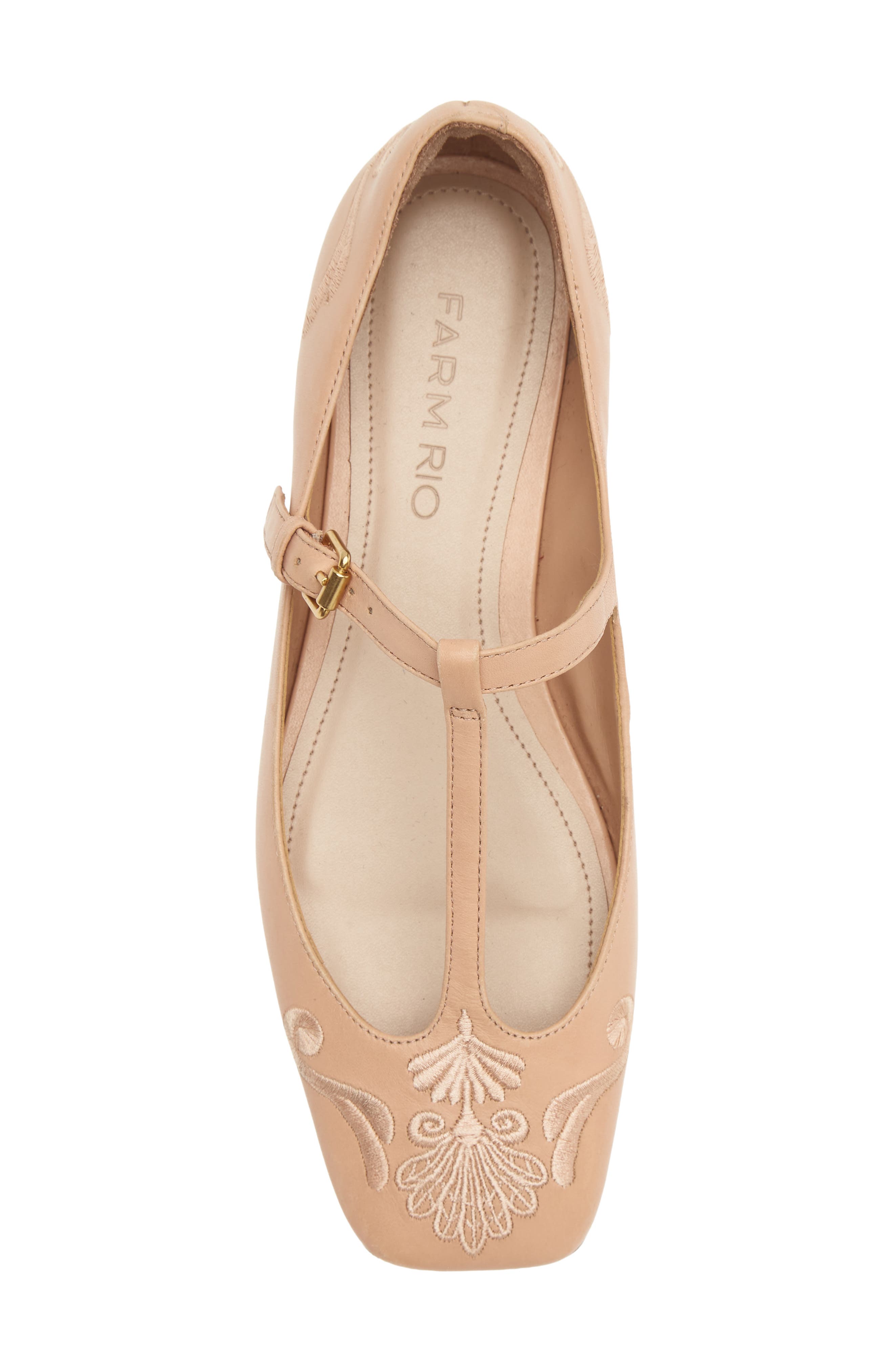 Rechillieu T-Strap Leather Flat, Alternate, color, OLD BLUSH