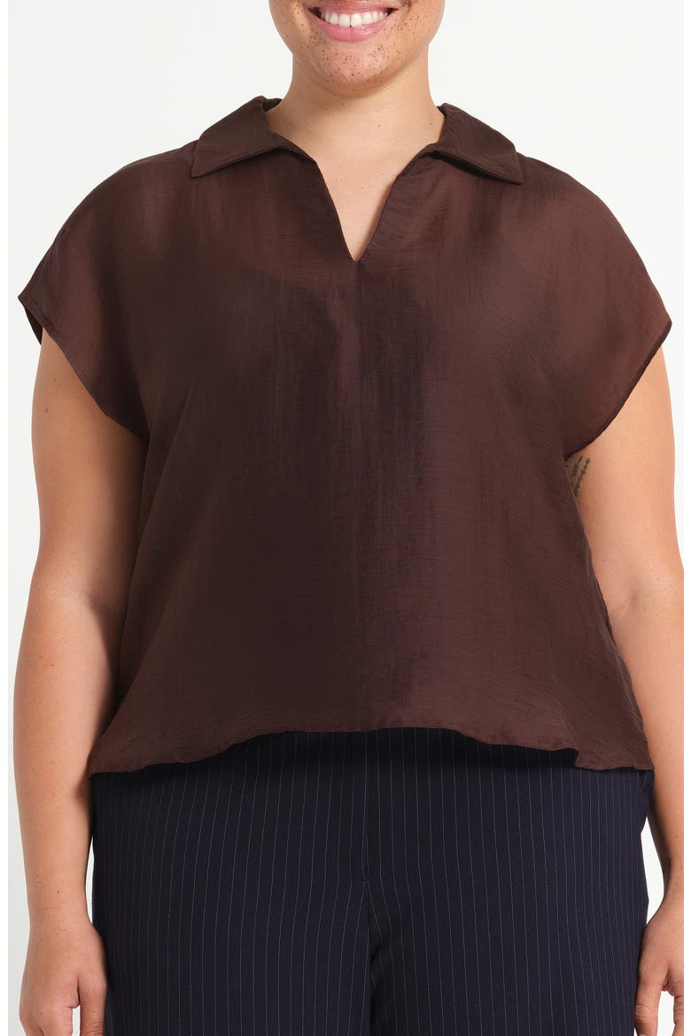 Kelly Sheer Top, Main, color, CHOCOLATE