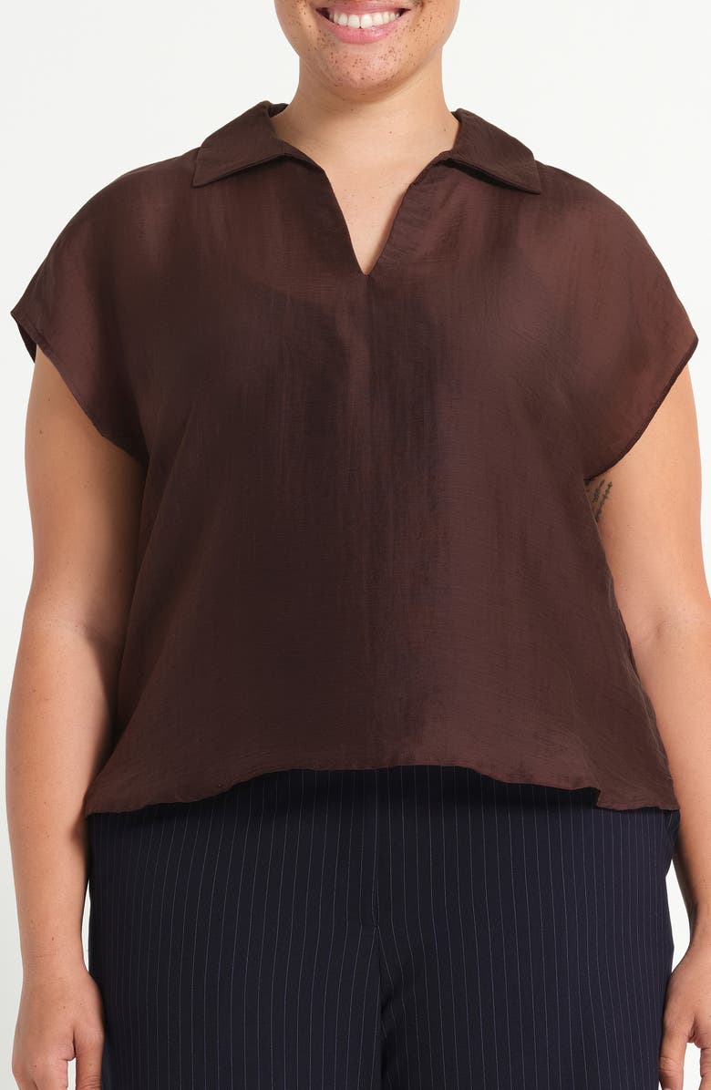 Estelle Kelly Sheer Top, Main, color, Chocolate