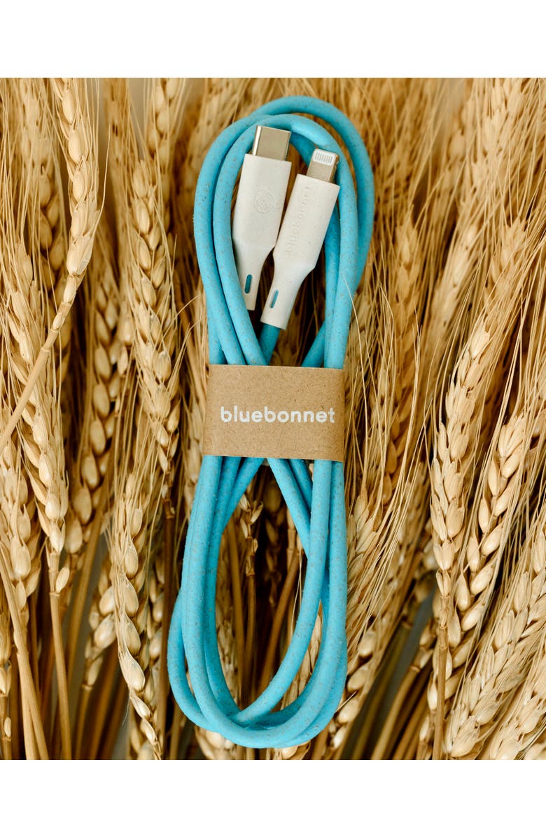 Bluebonnet The Companion USB-C to Lightning 4FT Charging Cable, Alternate, color, Blue