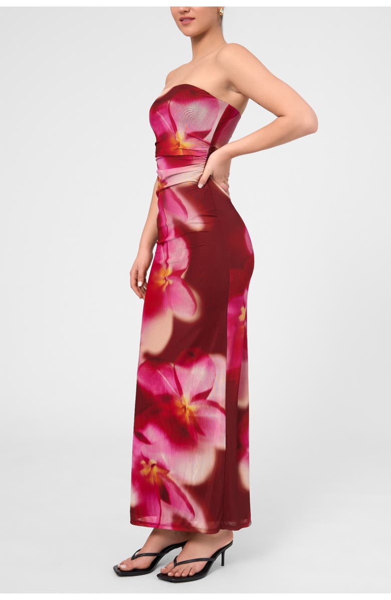 RACHEL Rachel Roy Isola Strapless Mesh Maxi Dress, Alternate, color, Dark Red