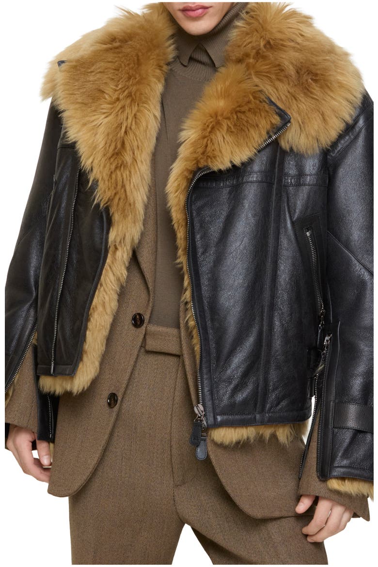 Cropped Shearling Aviator Jacket, Main, color, Black