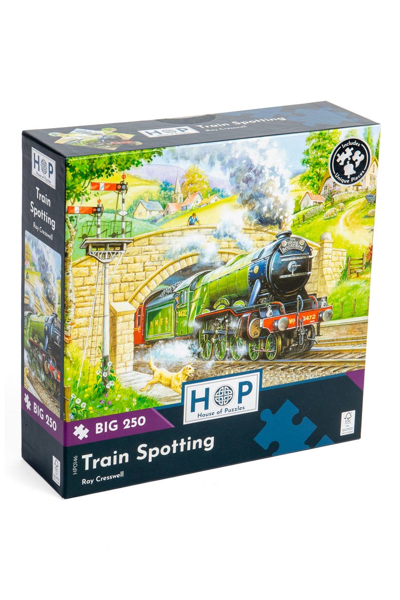 Train Spotting Big 250-Piece Jigsaw Puzzle, Main, color, NONE