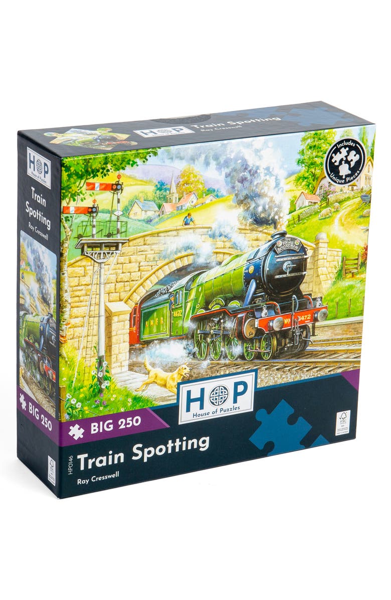 The House of Puzzles Train Spotting Big 250-Piece Jigsaw Puzzle, Main, color, 