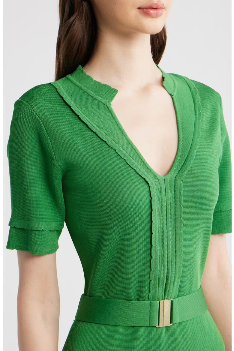 The Zariyah Belted Midi Sweater Dress, Alternate, color, MEADOW