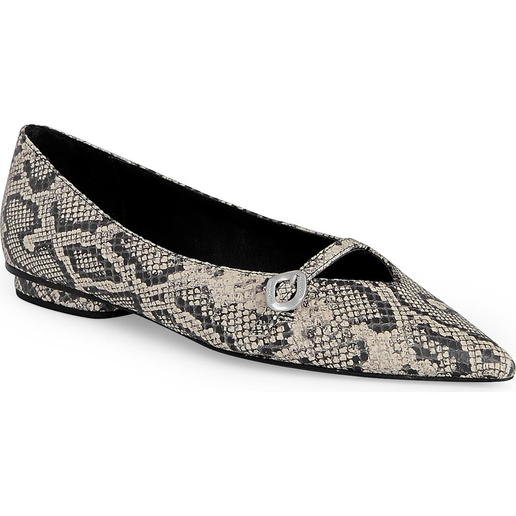 Rebecca Minkoff Pointed Toe Buckle Flat In Multi