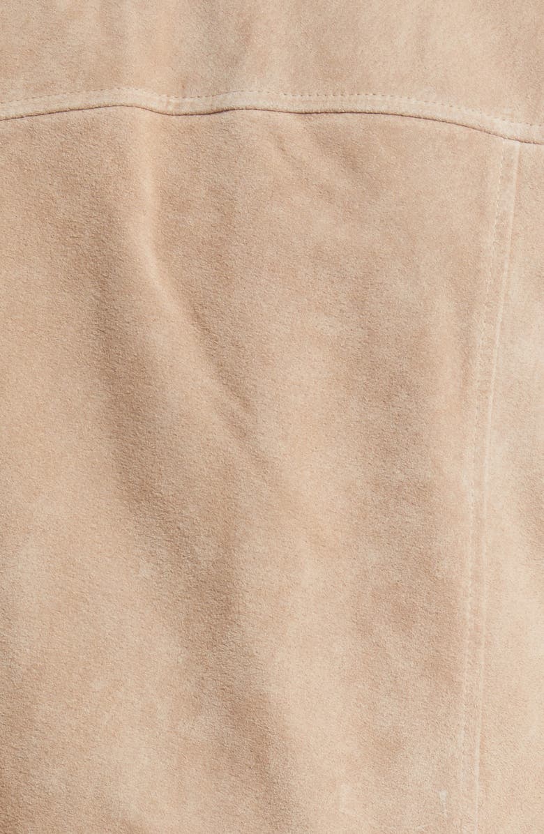 BLANKNYC Suede Moto Jacket, Alternate, color, 