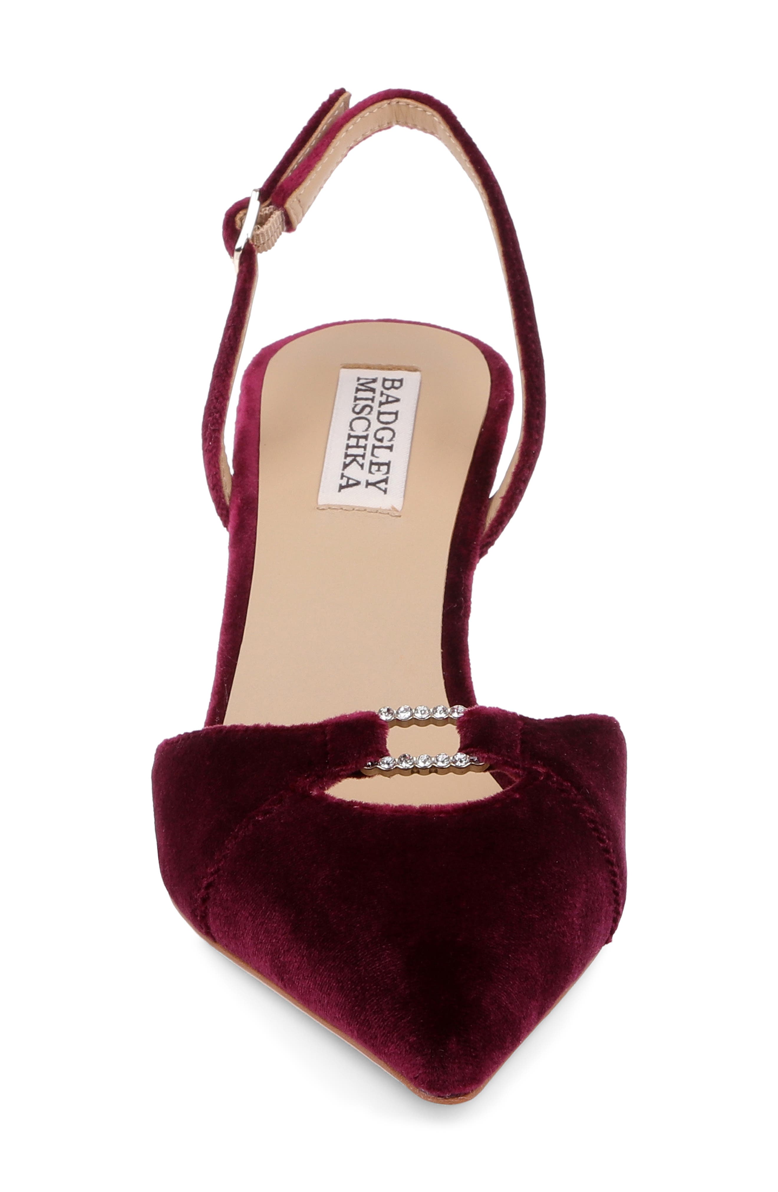 Roger Slingback Pointed Toe Pump, Alternate, color, WINE VELVET