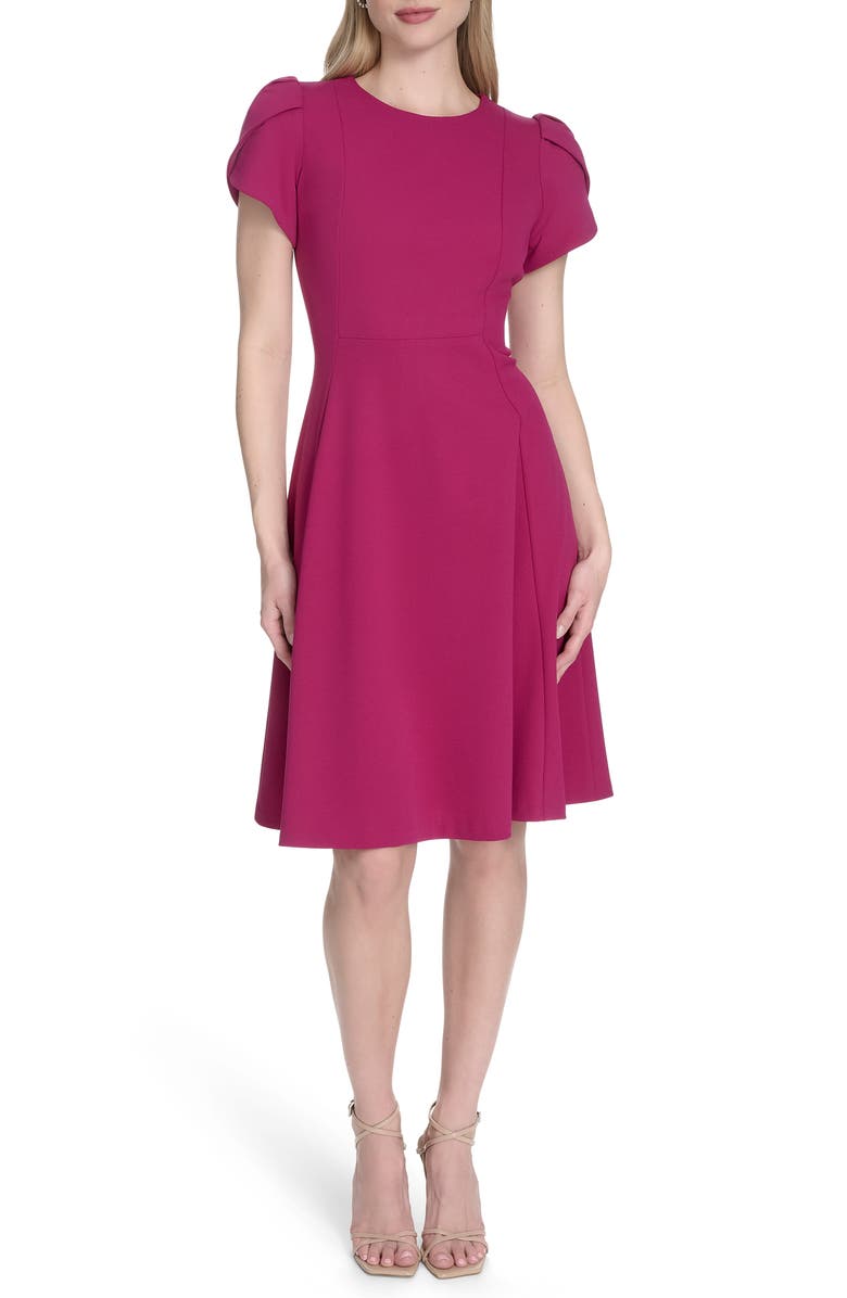 Calvin Klein Tulip Sleeve Fit & Flare Dress, Main, color, Boysenberry