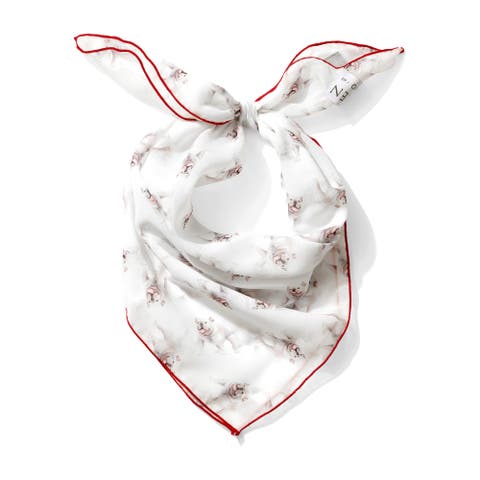 Chiffon Scarf