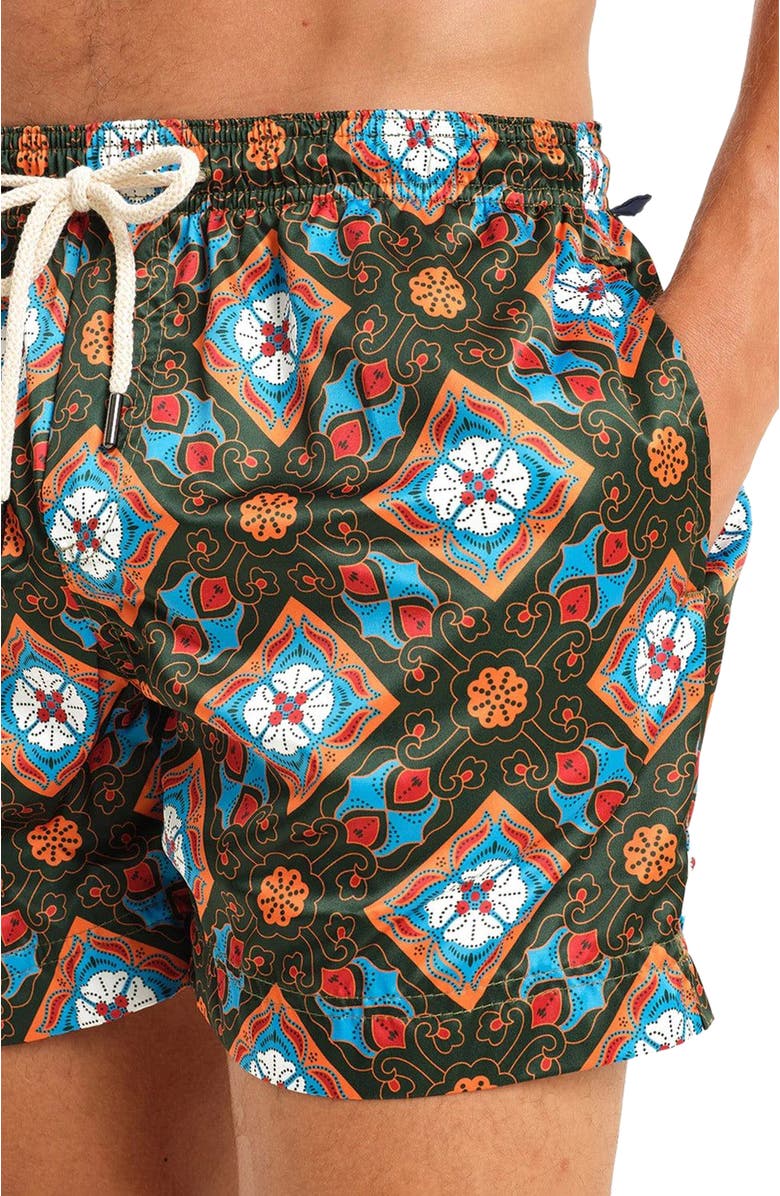 Peninsula Swimwear Positano Swim Shorts, Alternate, color, Multicolor