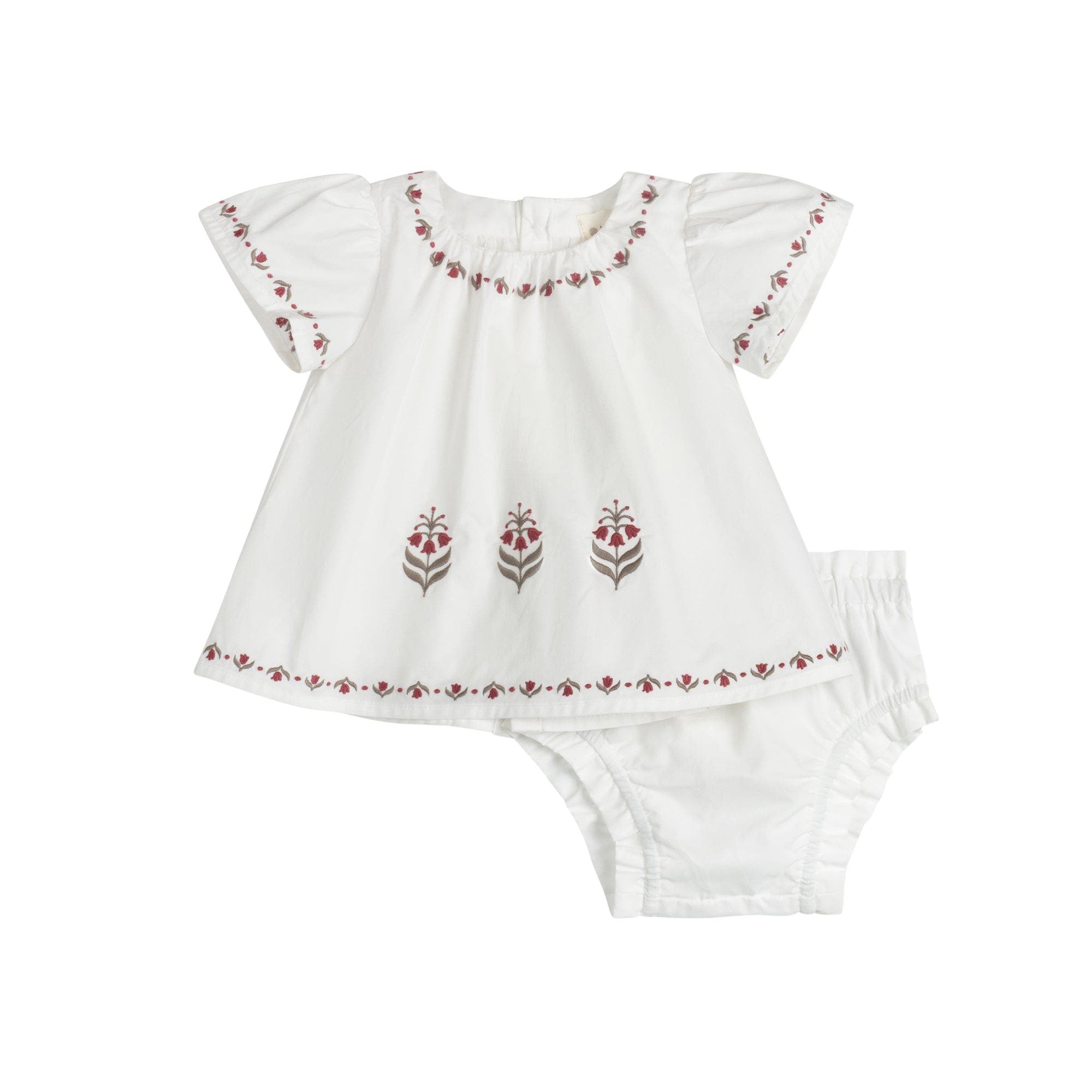 selected Ivory