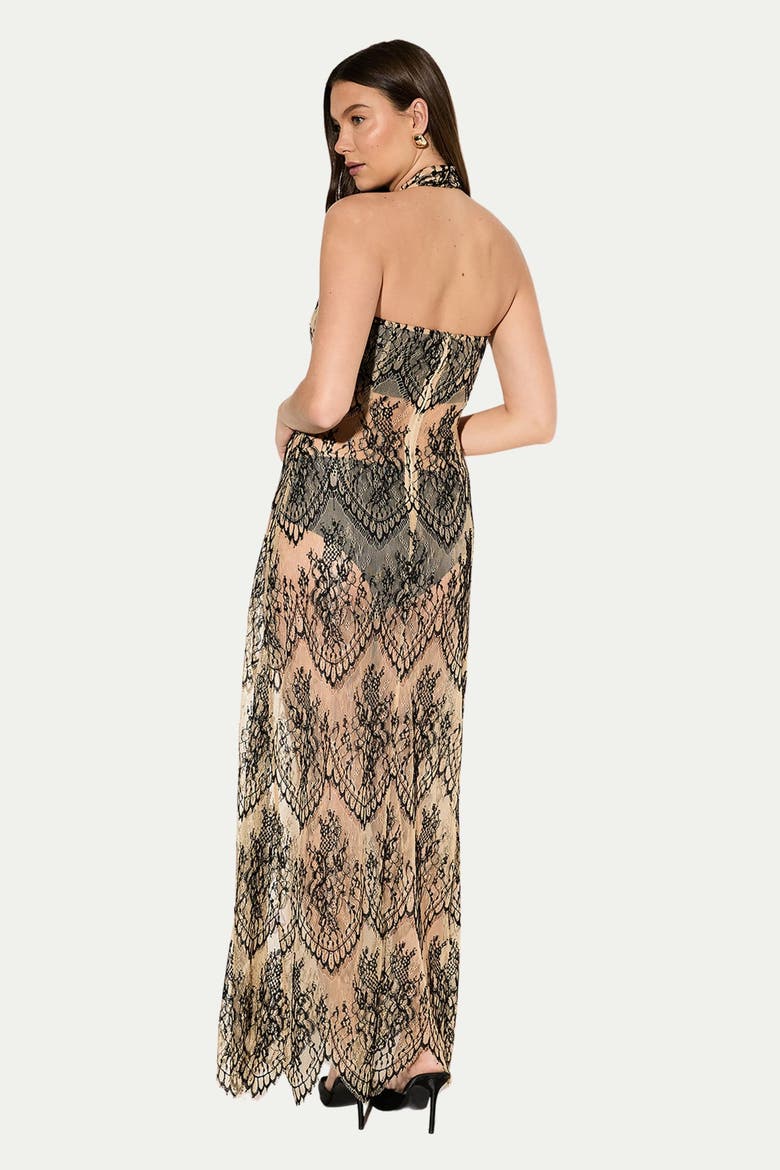 Premium Sheer Lace Maxi Dress, Alternate, color, Nude